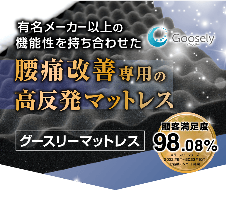 有名メーカー以上の機能性を持ち合わせた腰痛改善専用の高反発マットレス グースリーマットレス