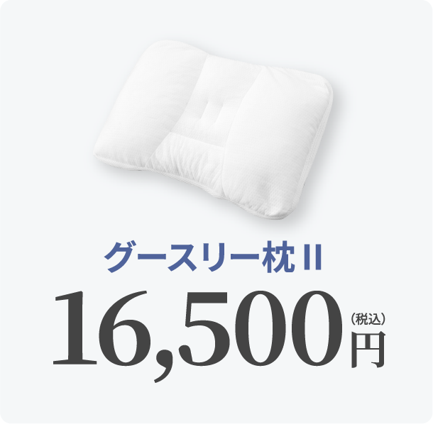 グースリー枕Ⅱ 16,500円