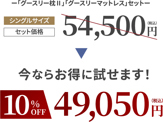 グースリー枕Ⅱ・グースリーマットレスセット 10%OFF 49,050円 今ならお得に試せます！